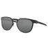 Oakley Diecutter Polarized